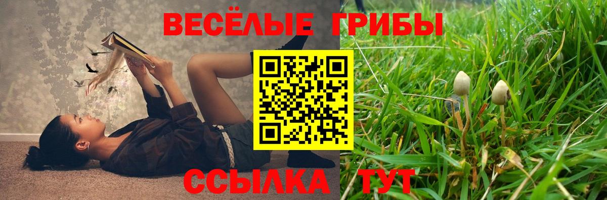 Псилоцибиновые грибы Magic Shrooms Серов